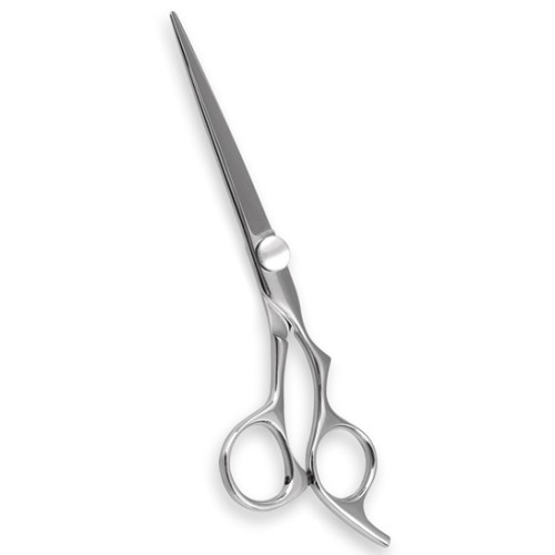 Professional Hair Cutting Scissors